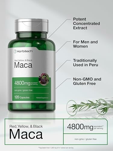 Maca supplement bottle with benefits and dosage details.