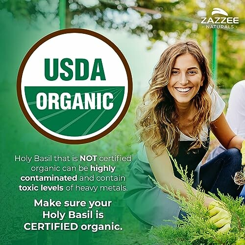 Zazzee Organic Holy Basil Extract